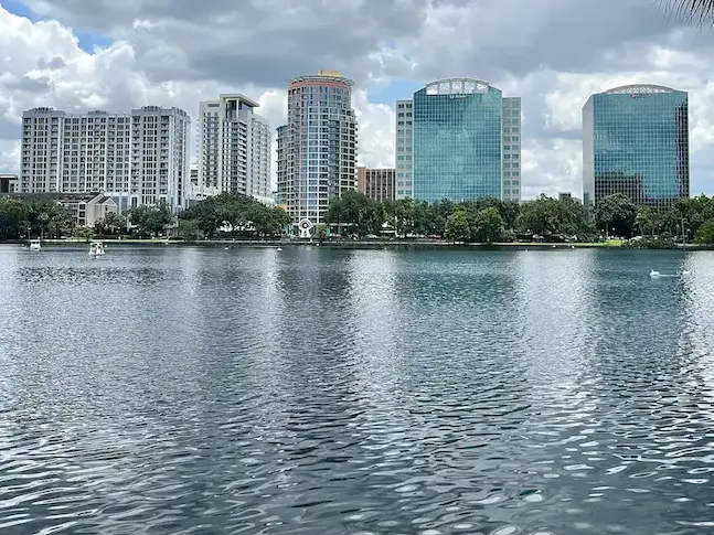 Websites designed to grow your business in Mills 50, Orlando, Florida